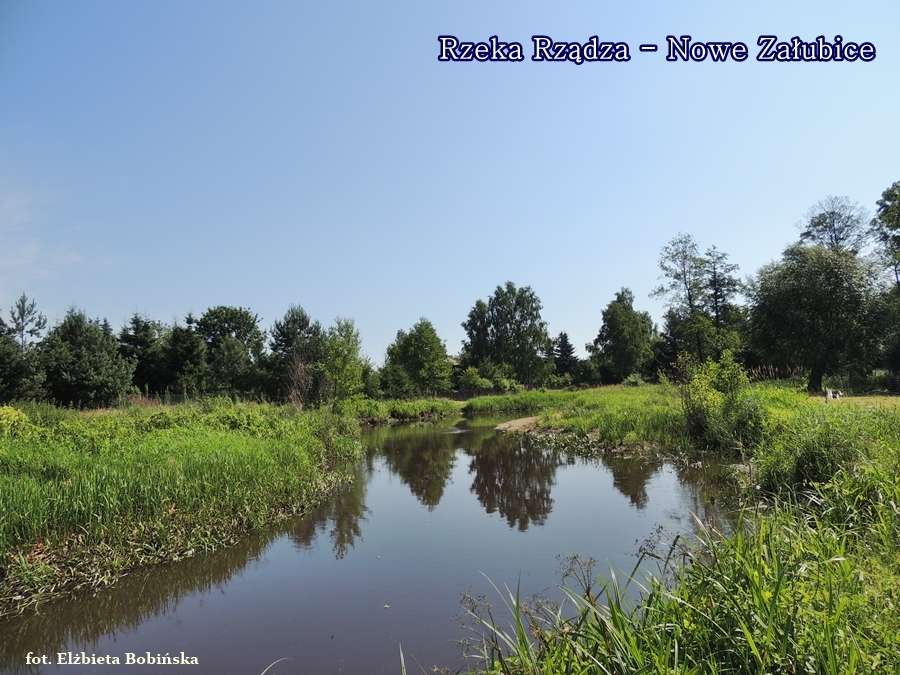 Une rivière pittoresque en Podlasie puzzle en ligne