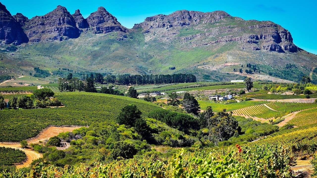 Afrique du Sud, vignoble, paysage. puzzle en ligne