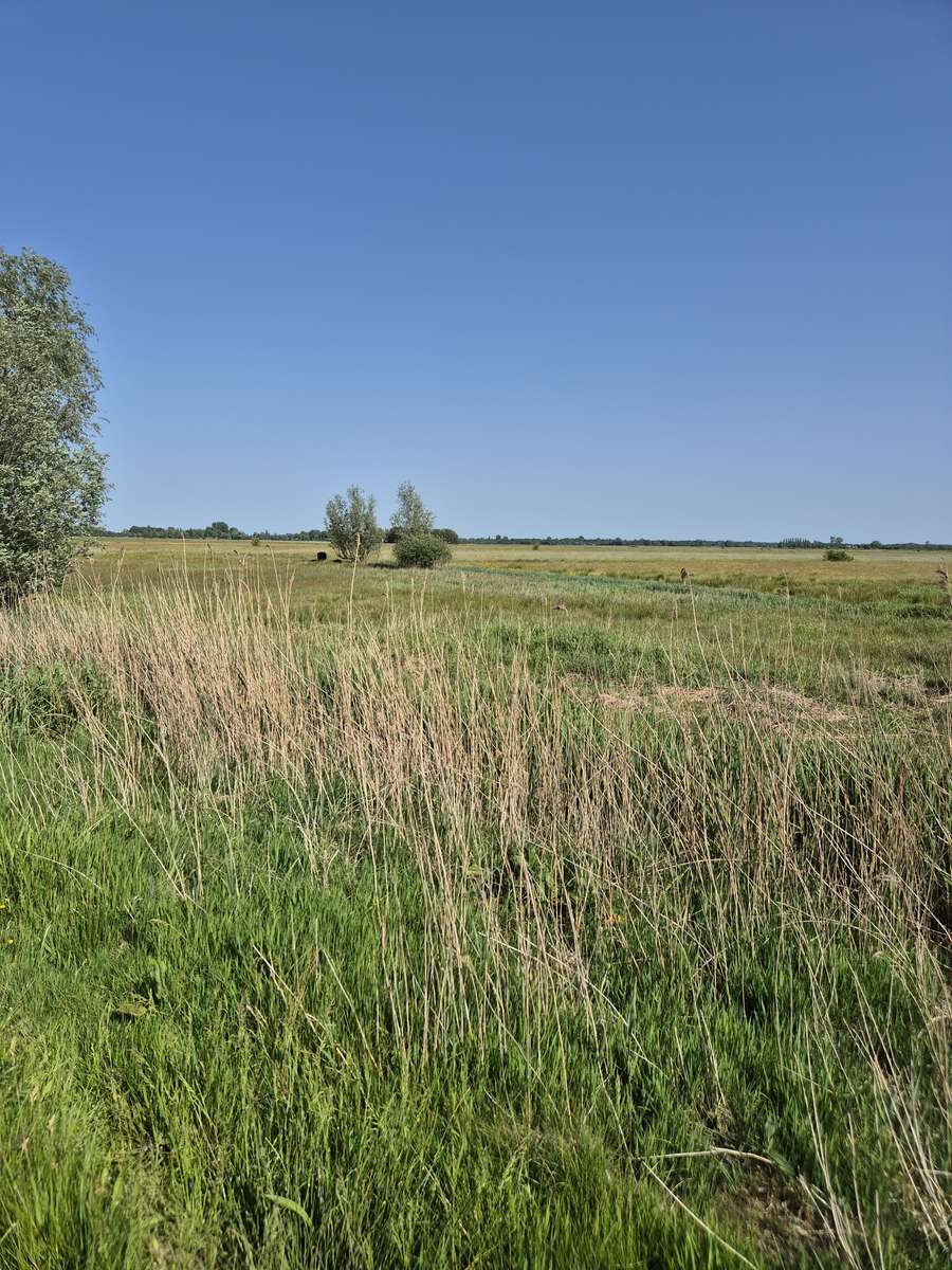 Zweigermieden und Friesland Online-Puzzle
