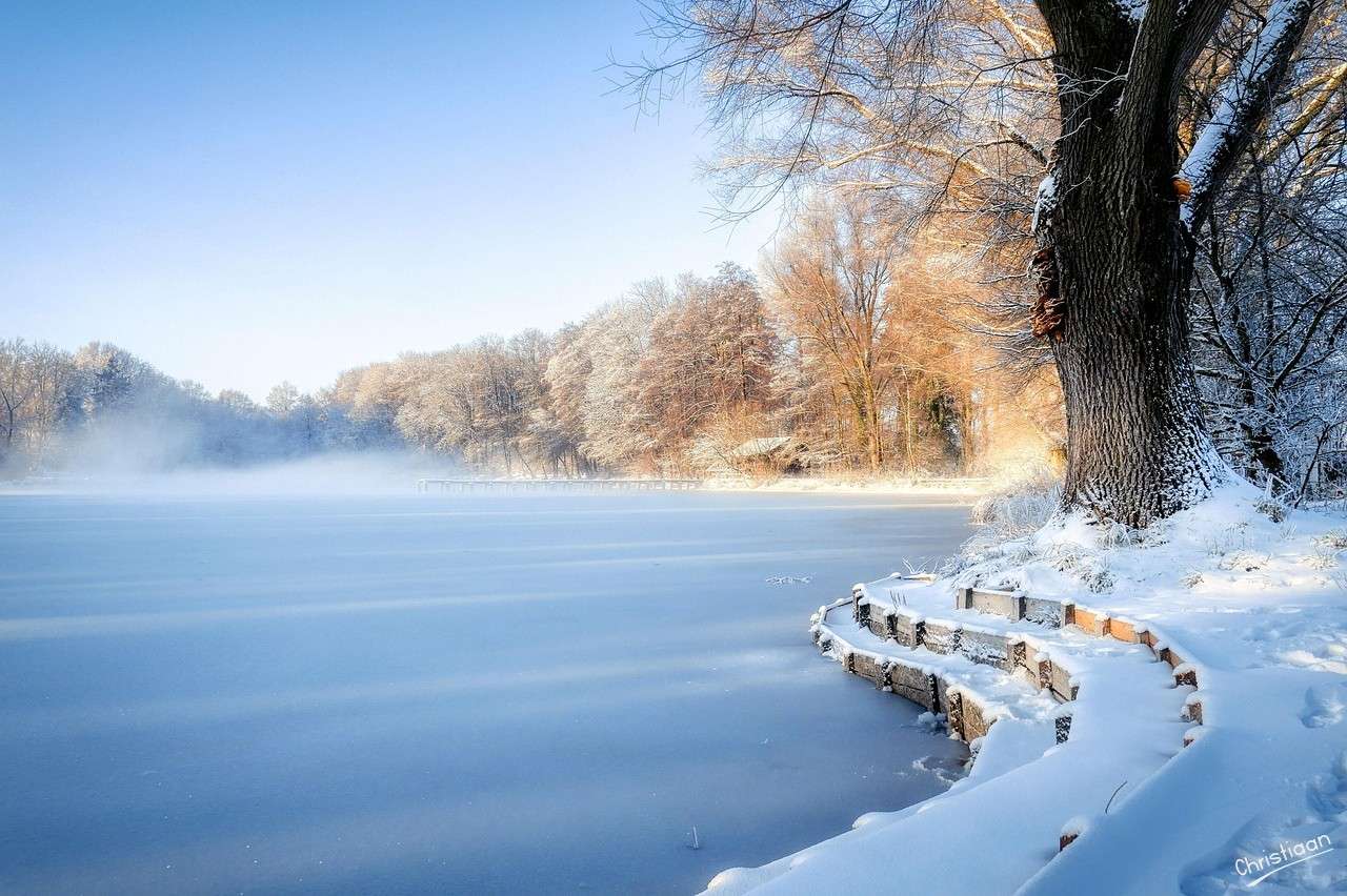 Arbres, lac, neige. puzzle en ligne