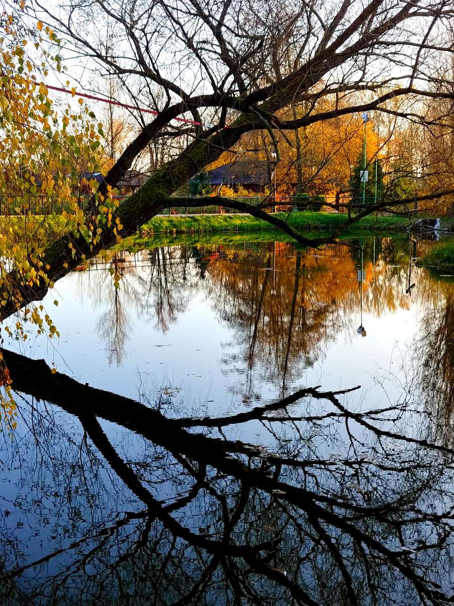 Am Teich Puzzlespiel online