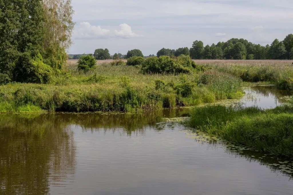 Festői táj Podlasie online puzzle