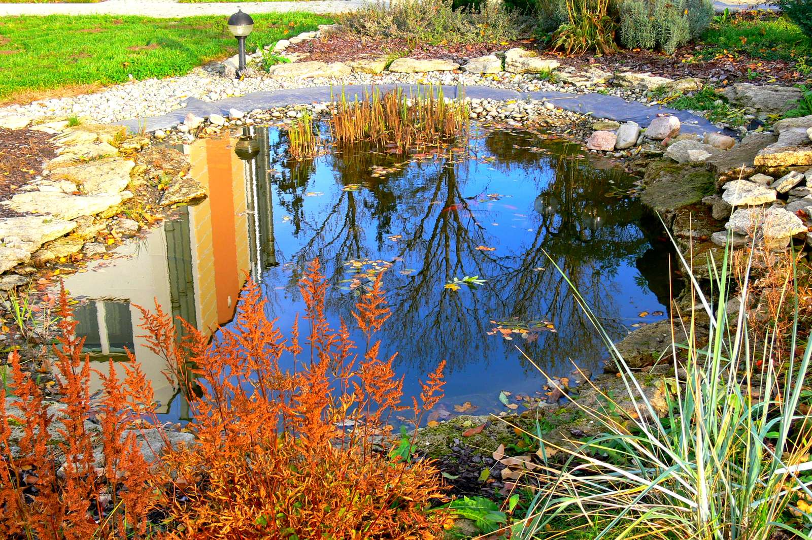 pond online puzzle