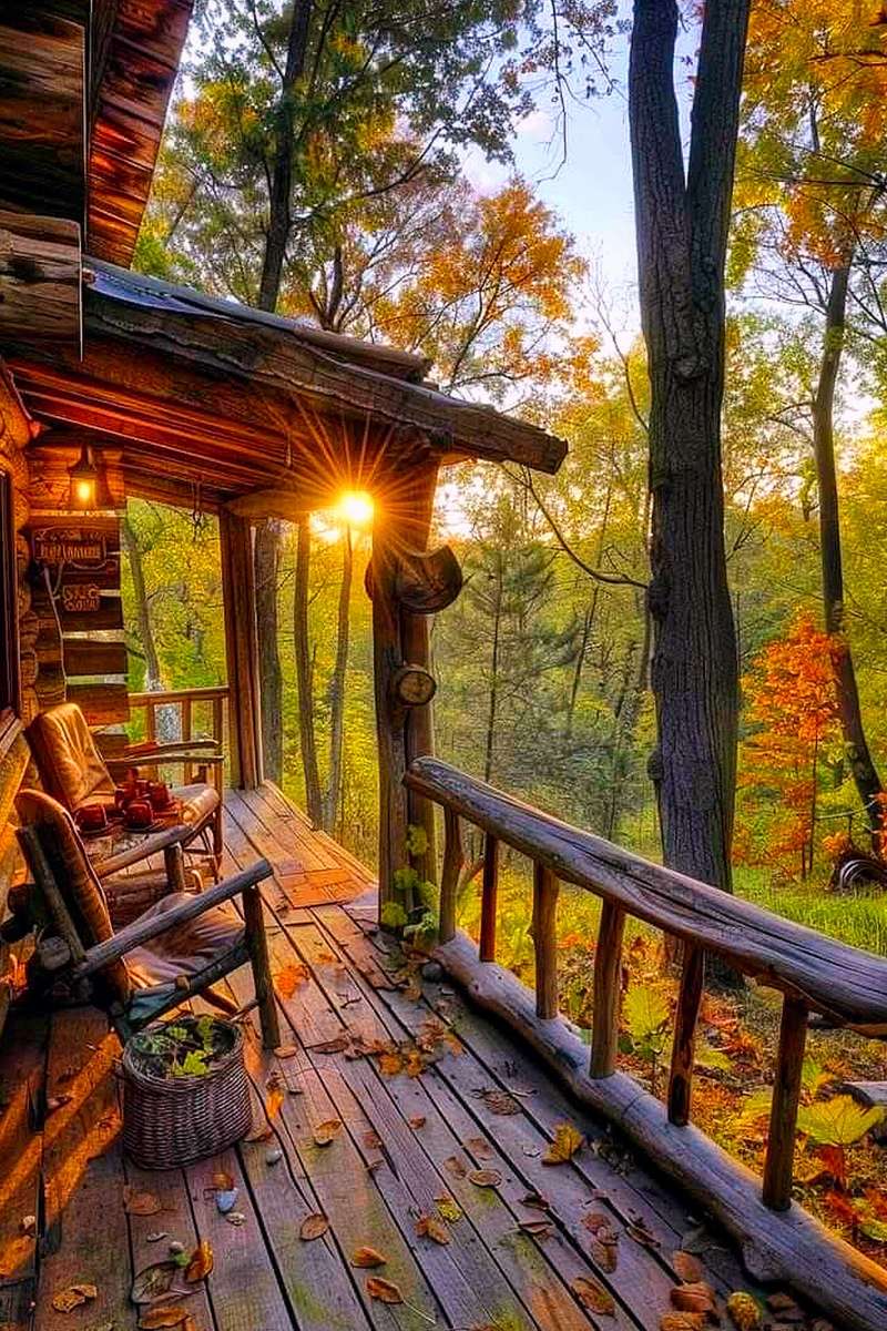tramonto nel bosco puzzle online