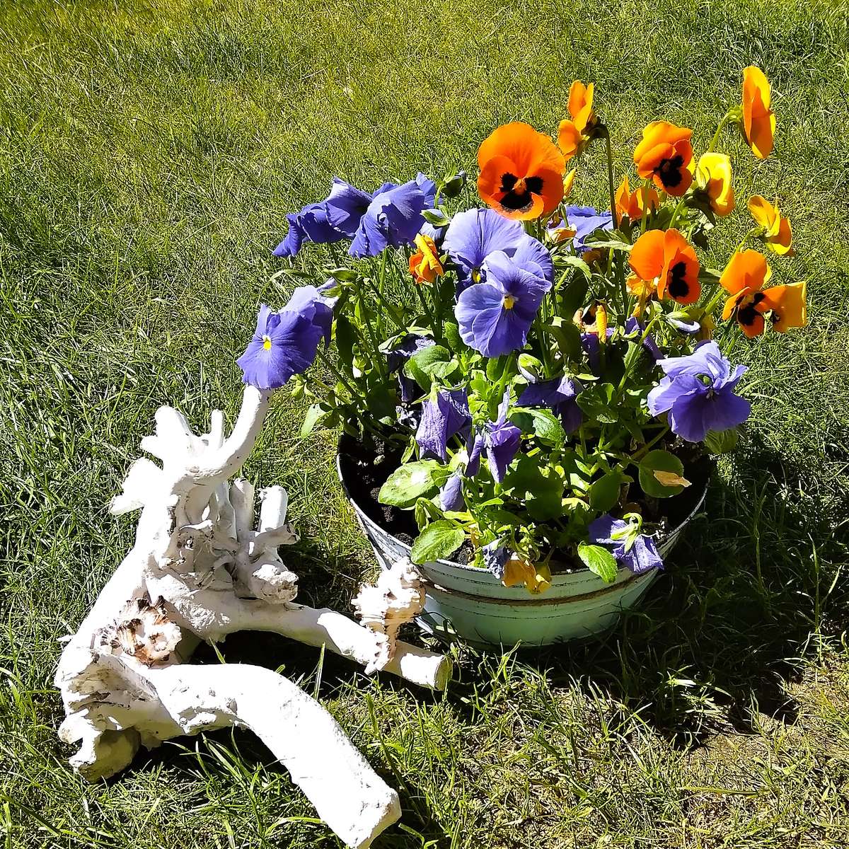 Pe terasă jigsaw puzzle online