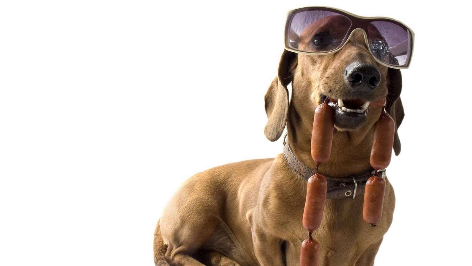 Feinschmecker mit Brille Online-Puzzle
