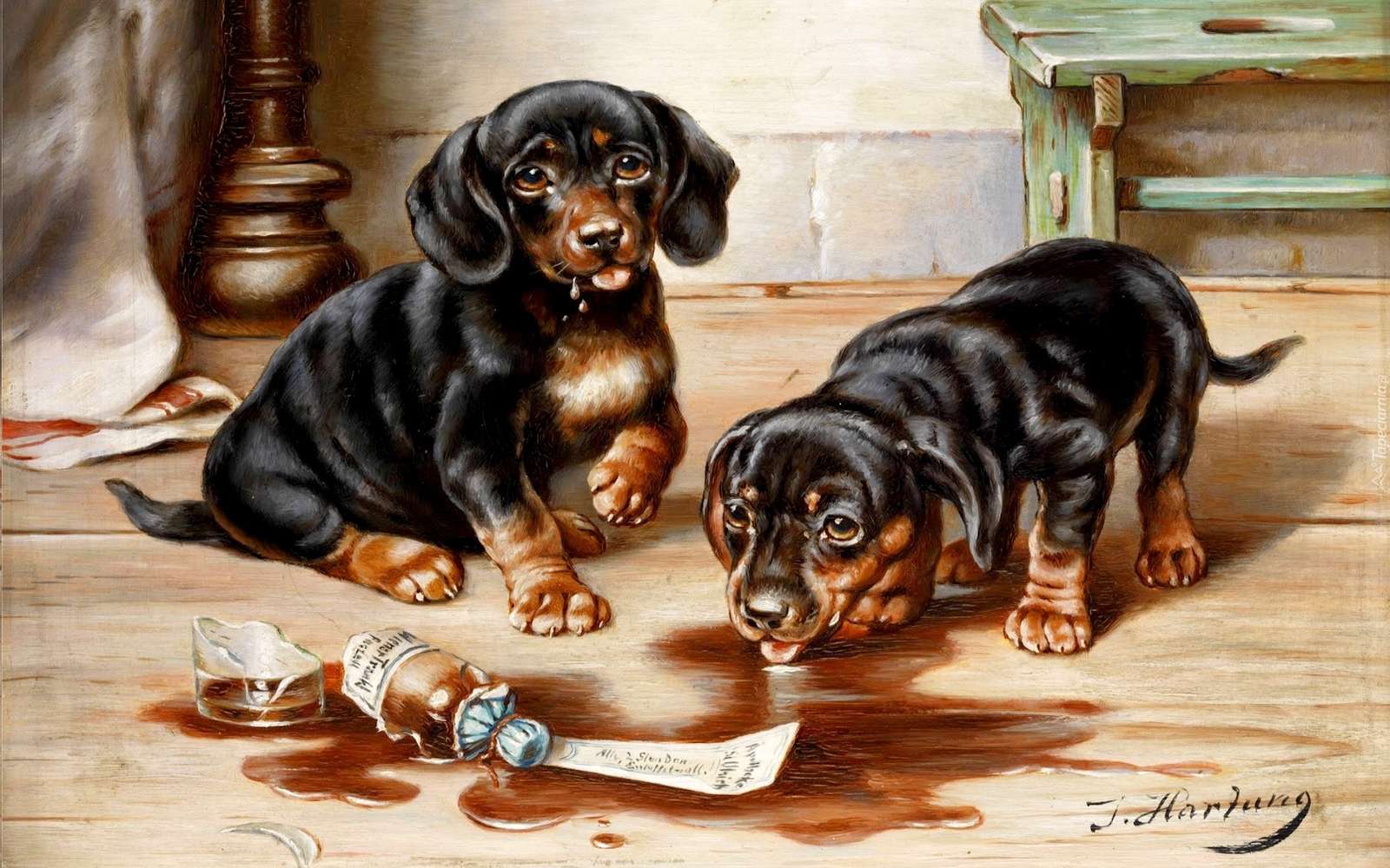 zwei Dackelwelpen Online-Puzzle