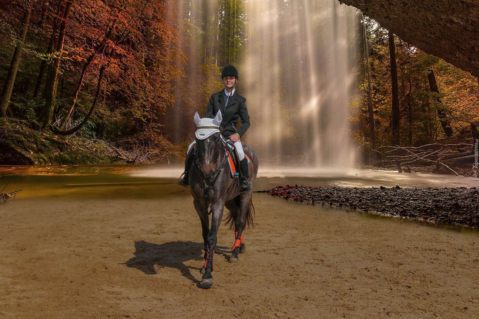 Reiten Online-Puzzle